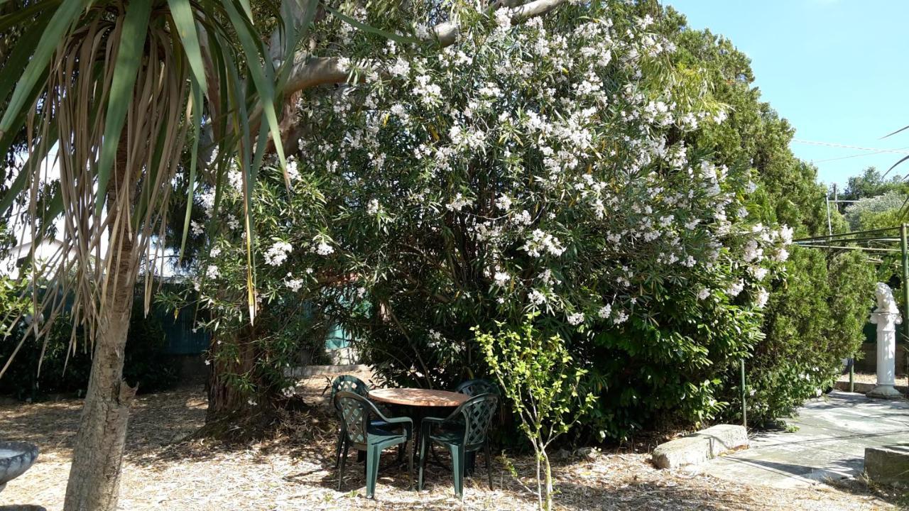 La Marina Gardens Beach Scauri  Extérieur photo